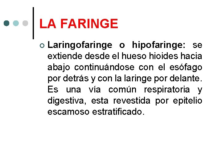 LA FARINGE Laringofaringe o hipofaringe: se extiende desde el hueso hioides hacia abajo continuándose
