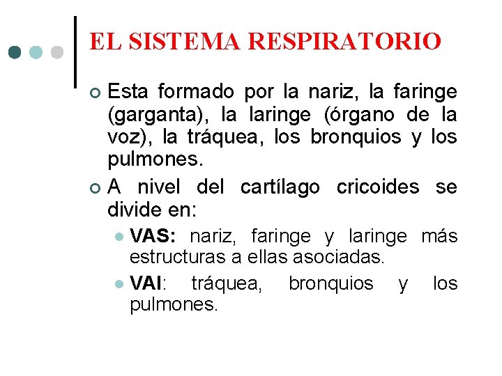 EL SISTEMA RESPIRATORIO Esta formado por la nariz, la faringe (garganta), la laringe (órgano