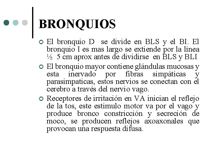 BRONQUIOS El bronquio D se divide en BLS y el BI. El bronquio I