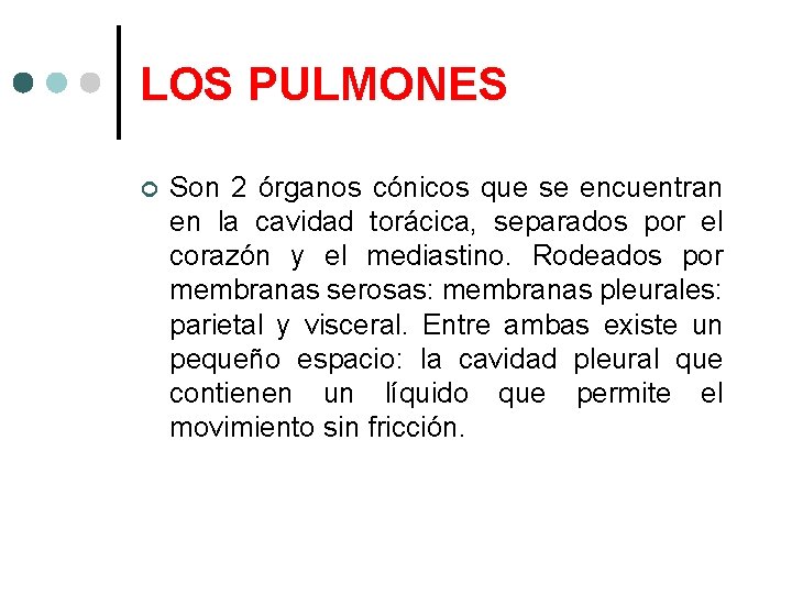 LOS PULMONES Son 2 órganos cónicos que se encuentran en la cavidad torácica, separados
