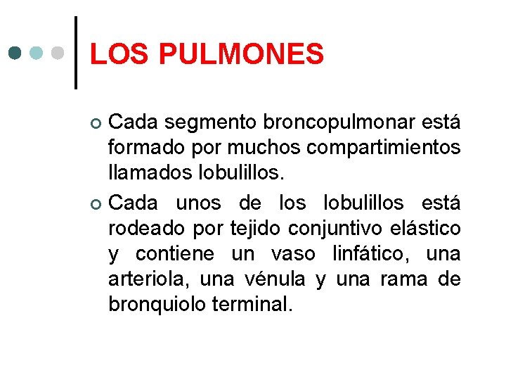 LOS PULMONES Cada segmento broncopulmonar está formado por muchos compartimientos llamados lobulillos. Cada unos