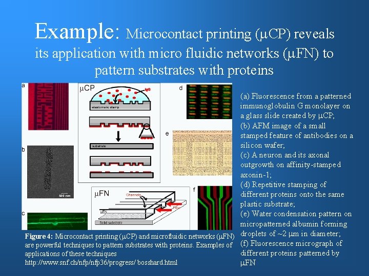 Example: Microcontact printing (m. CP) reveals its application with micro fluidic networks (m. FN)