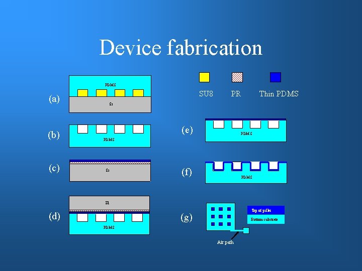 Device fabrication PDMS SU 8 (a) (b) (c) PR Thin PDMS Si (e) PDMS