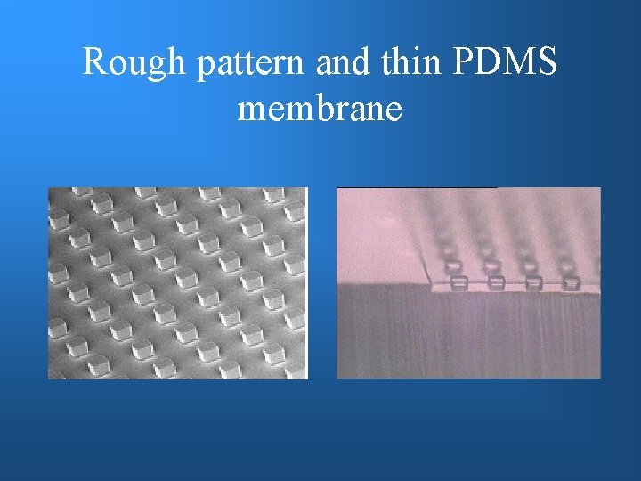 Rough pattern and thin PDMS membrane 