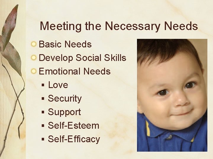 Meeting the Necessary Needs Basic Needs Develop Social Skills Emotional Needs § Love §