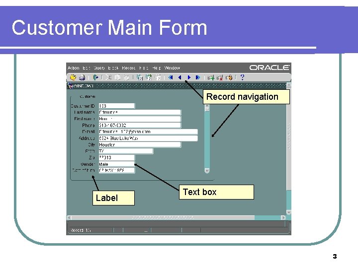 Customer Main Form Record navigation Label Text box 3 