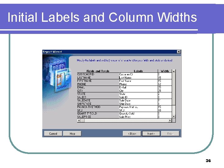 Initial Labels and Column Widths 36 