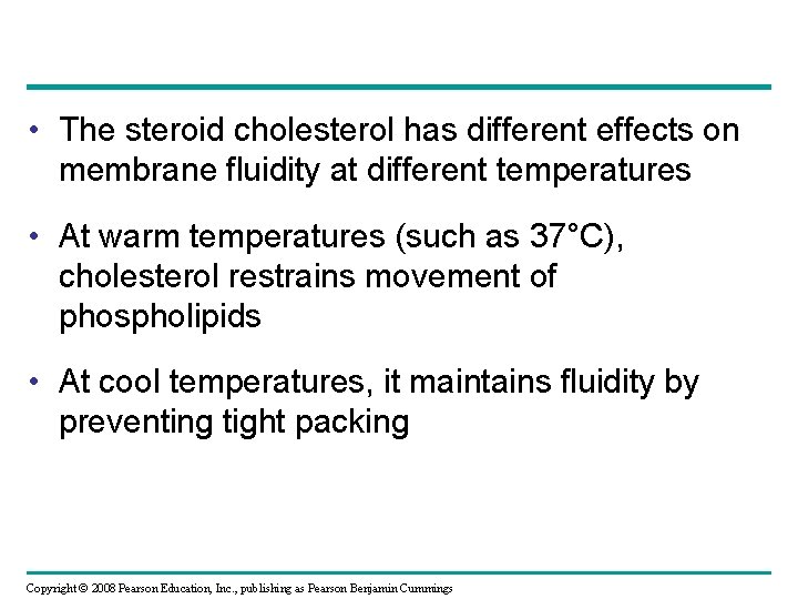 • The steroid cholesterol has different effects on membrane fluidity at different temperatures  • The steroid cholesterol has different effects on membrane fluidity at different temperatures