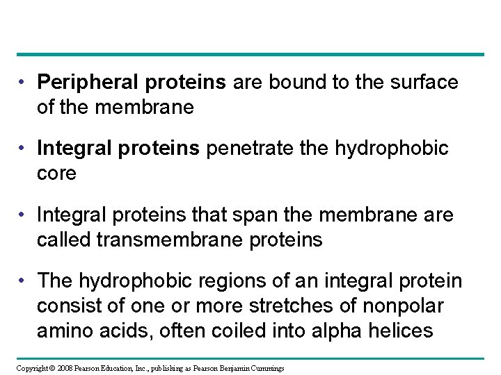 • Peripheral proteins are bound to the surface of the membrane • Integral  • Peripheral proteins are bound to the surface of the membrane • Integral
