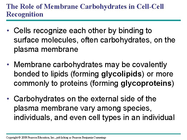 The Role of Membrane Carbohydrates in Cell-Cell Recognition • Cells recognize each other by The Role of Membrane Carbohydrates in Cell-Cell Recognition • Cells recognize each other by
