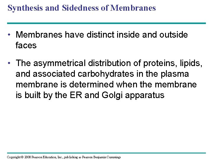Synthesis and Sidedness of Membranes • Membranes have distinct inside and outside faces • Synthesis and Sidedness of Membranes • Membranes have distinct inside and outside faces •