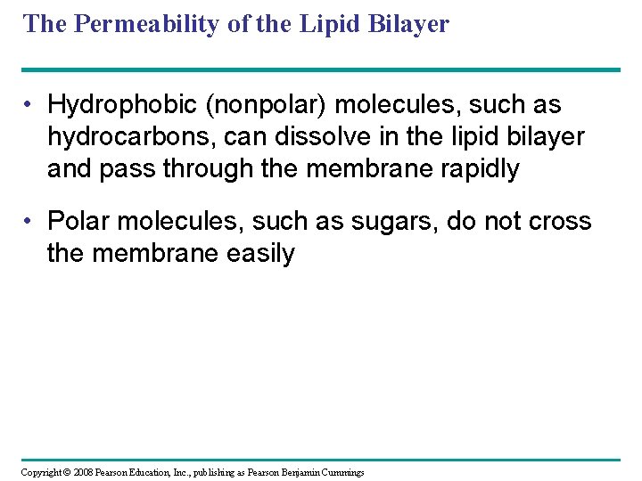 The Permeability of the Lipid Bilayer • Hydrophobic (nonpolar) molecules, such as hydrocarbons, can The Permeability of the Lipid Bilayer • Hydrophobic (nonpolar) molecules, such as hydrocarbons, can