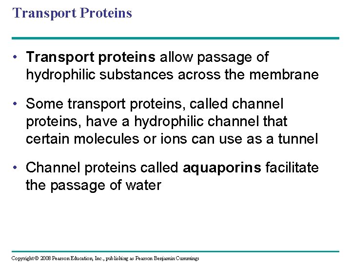 Transport Proteins • Transport proteins allow passage of hydrophilic substances across the membrane • Transport Proteins • Transport proteins allow passage of hydrophilic substances across the membrane •