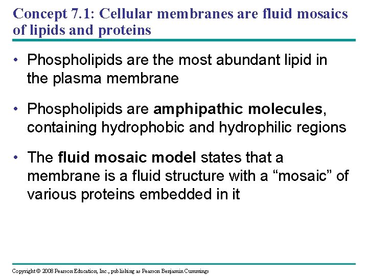 Concept 7. 1: Cellular membranes are fluid mosaics of lipids and proteins • Phospholipids Concept 7. 1: Cellular membranes are fluid mosaics of lipids and proteins • Phospholipids