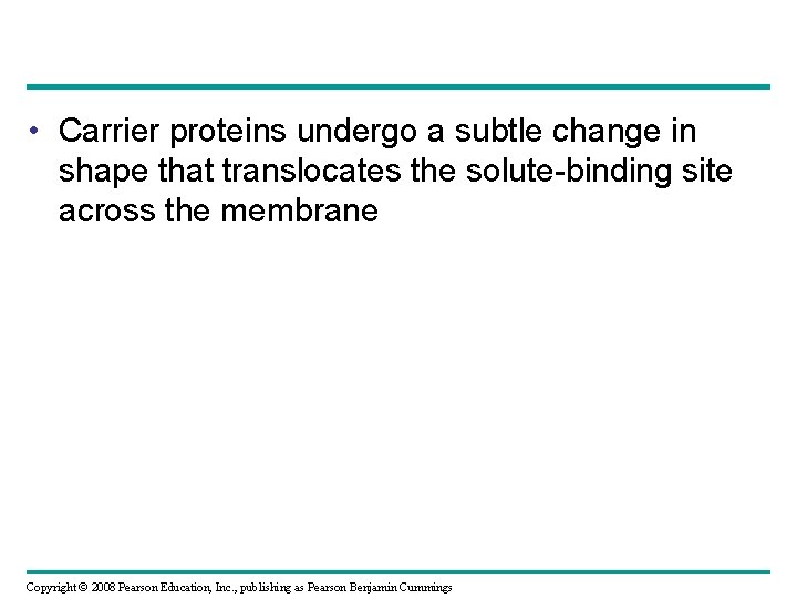 • Carrier proteins undergo a subtle change in shape that translocates the solute-binding  • Carrier proteins undergo a subtle change in shape that translocates the solute-binding