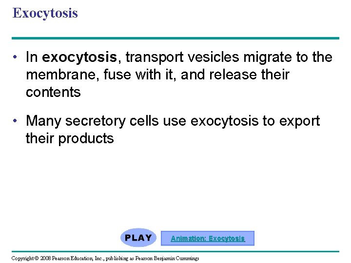 Exocytosis • In exocytosis, transport vesicles migrate to the membrane, fuse with it, and Exocytosis • In exocytosis, transport vesicles migrate to the membrane, fuse with it, and