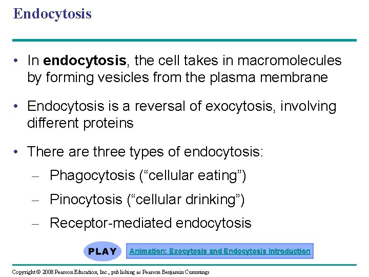 Endocytosis • In endocytosis, the cell takes in macromolecules by forming vesicles from the Endocytosis • In endocytosis, the cell takes in macromolecules by forming vesicles from the