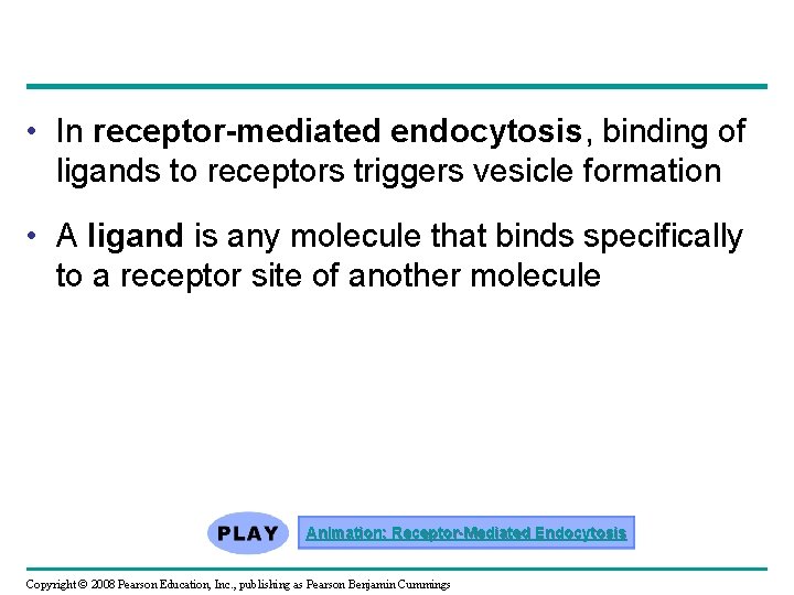 • In receptor-mediated endocytosis, binding of ligands to receptors triggers vesicle formation •  • In receptor-mediated endocytosis, binding of ligands to receptors triggers vesicle formation •