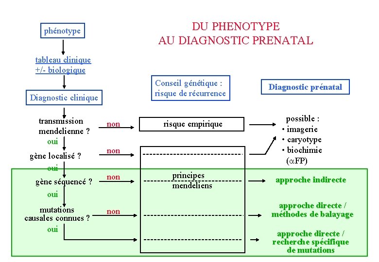 DU PHENOTYPE AU DIAGNOSTIC PRENATAL phénotype tableau clinique +/- biologique Conseil génétique : risque