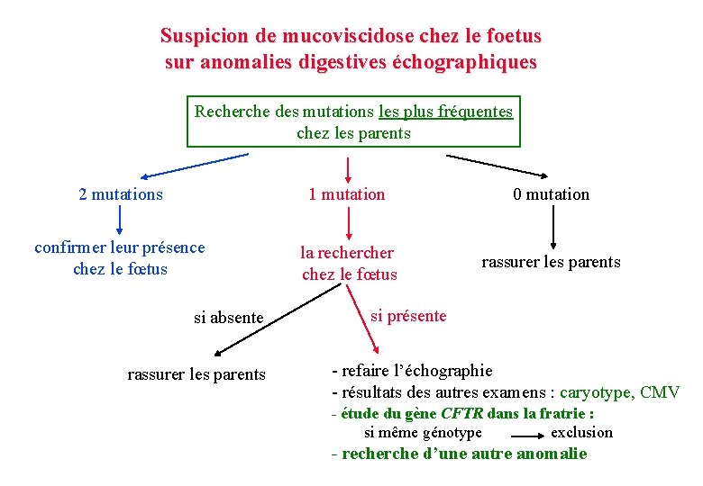 Suspicion de mucoviscidose chez le foetus sur anomalies digestives échographiques Recherche des mutations les