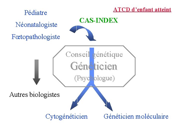 Pédiatre Néonatalogiste ATCD d’enfant atteint CAS-INDEX Fœtopathologiste Conseil génétique Généticien (Psychologue) Autres biologistes Cytogénéticien