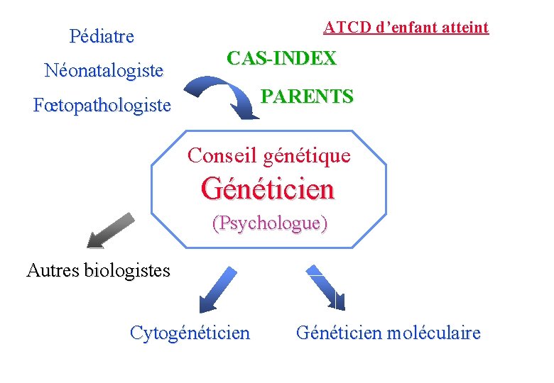 Pédiatre Néonatalogiste ATCD d’enfant atteint CAS-INDEX PARENTS Fœtopathologiste Conseil génétique Généticien (Psychologue) Autres biologistes