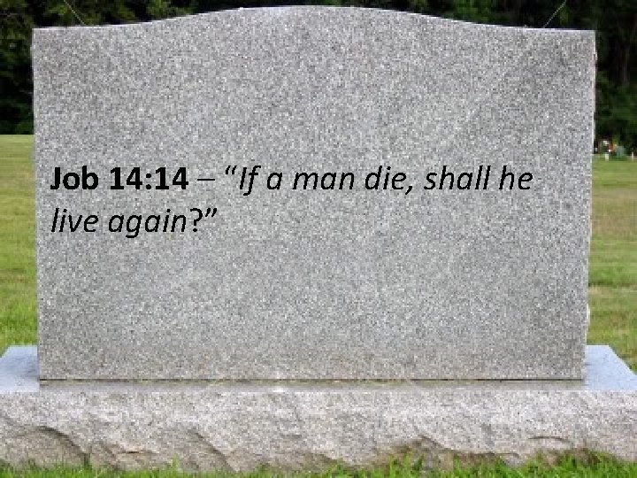 Job 14: 14 – “If a man die, shall he live again? ” 