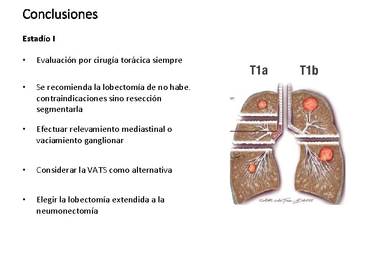 Conclusiones Estadío I • Evaluación por cirugía torácica siempre • Se recomienda la lobectomía