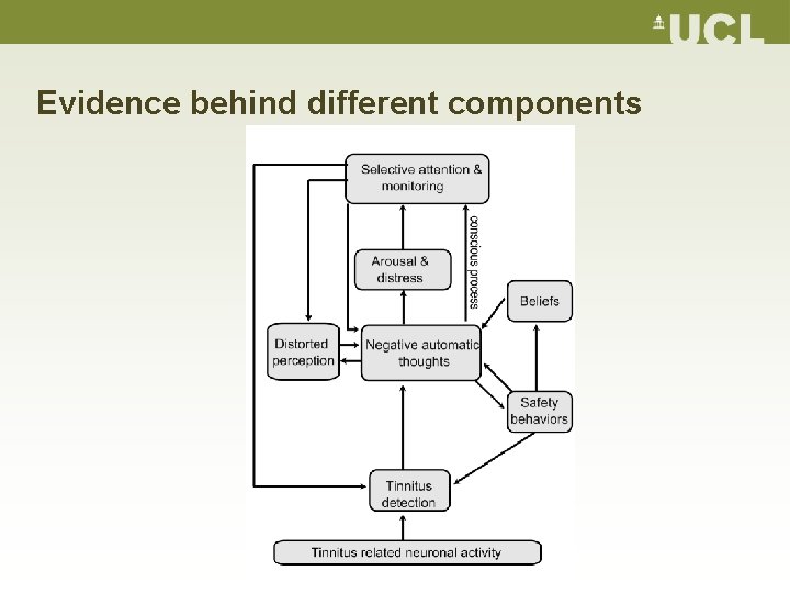 Evidence behind different components 