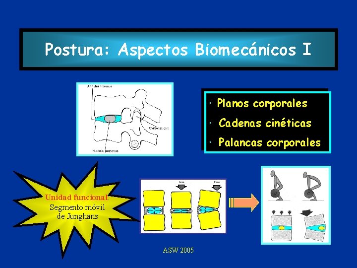 Postura: Aspectos Biomecánicos I Planos corporales Cadenas cinéticas Palancas corporales Unidad funcional: Segmento móvil