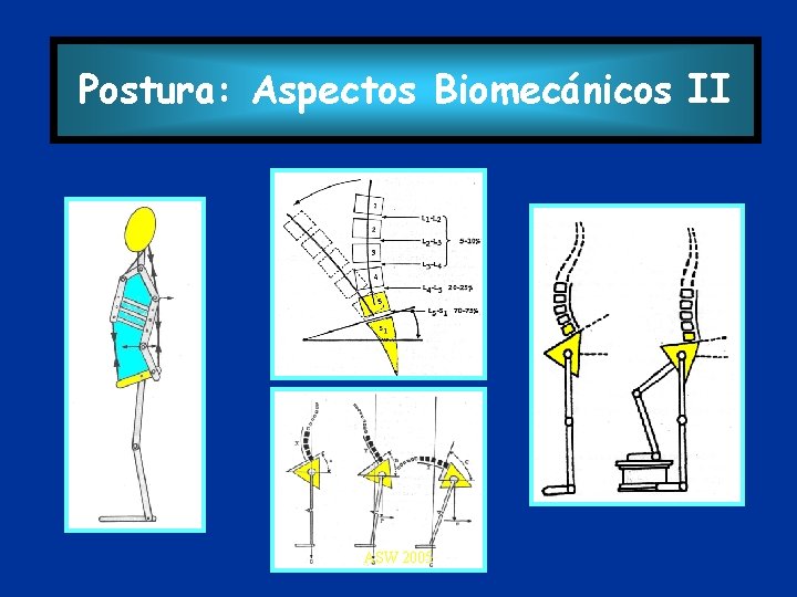 Postura: Aspectos Biomecánicos II ASW 2005 