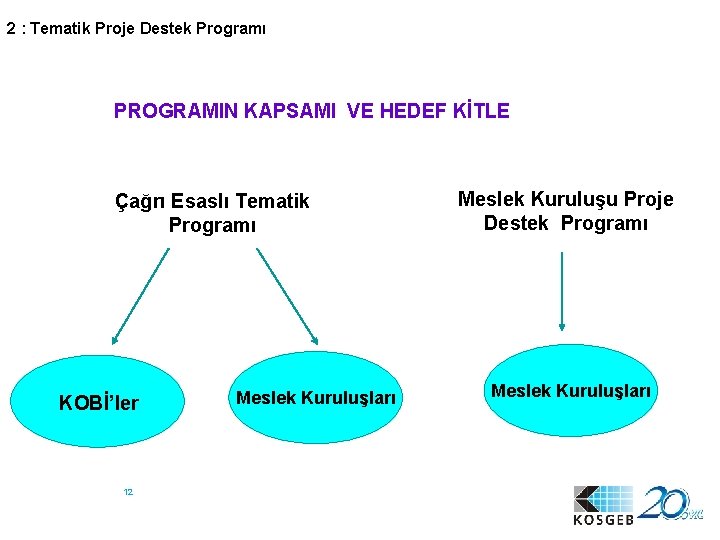 2 : Tematik Proje Destek Programı PROGRAMIN KAPSAMI VE HEDEF KİTLE Çağrı Esaslı Tematik