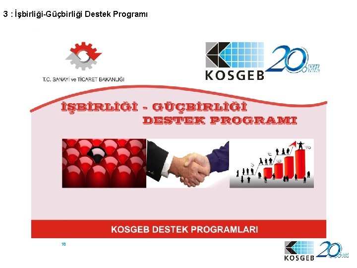 3 : İşbirliği-Güçbirliği Destek Programı 18 