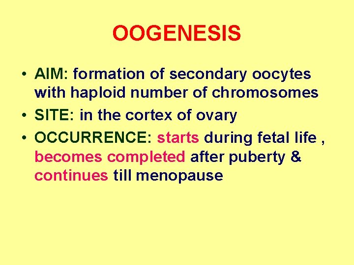 OOGENESIS • AIM: formation of secondary oocytes with haploid number of chromosomes • SITE: