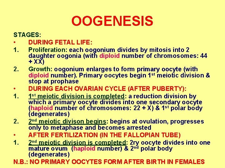 OOGENESIS STAGES: • DURING FETAL LIFE: 1. Proliferation: each oogonium divides by mitosis into