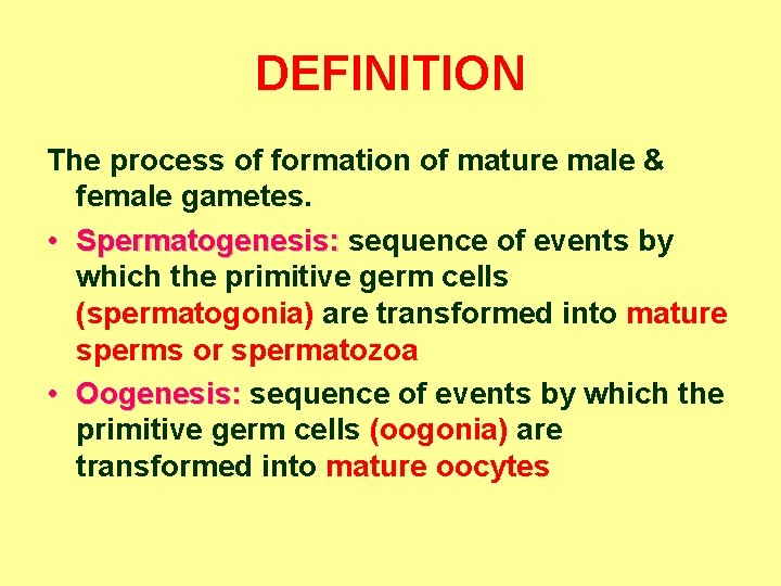 DEFINITION The process of formation of mature male & female gametes. • Spermatogenesis: sequence