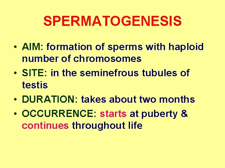 SPERMATOGENESIS • AIM: formation of sperms with haploid number of chromosomes • SITE: in