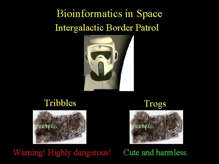 Bioinformatics in Space Intergalactic Border Patrol Tribbles Trogs Warning! Highly dangerous! Cute and harmless.