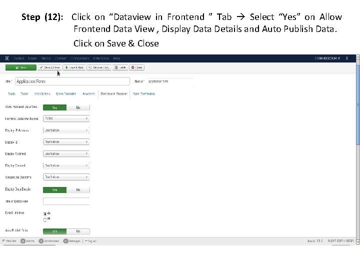 Step (12): Click on “Dataview in Frontend ” Tab Select “Yes” on Allow Frontend