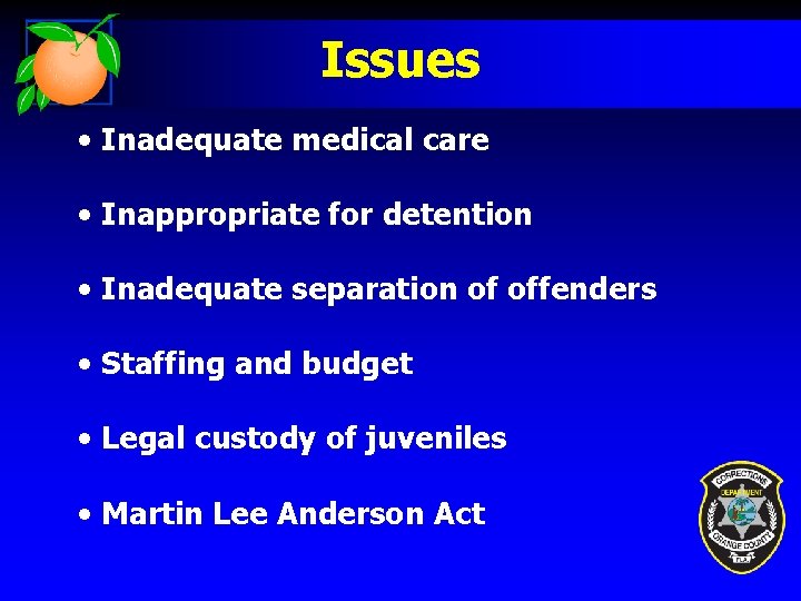 Issues • Inadequate medical care • Inappropriate for detention • Inadequate separation of offenders