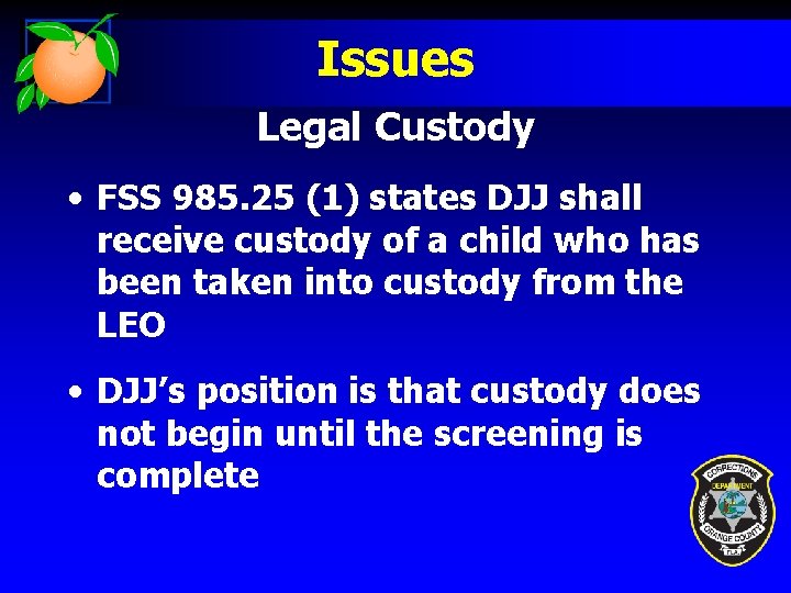 Issues Legal Custody • FSS 985. 25 (1) states DJJ shall receive custody of