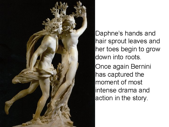  • Daphne’s hands and hair sprout leaves and her toes begin to grow
