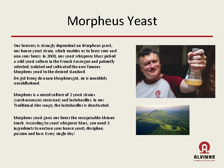 Morpheus Yeast Our brewery is strongly dependent on Morpheus yeast, our house yeast strain,