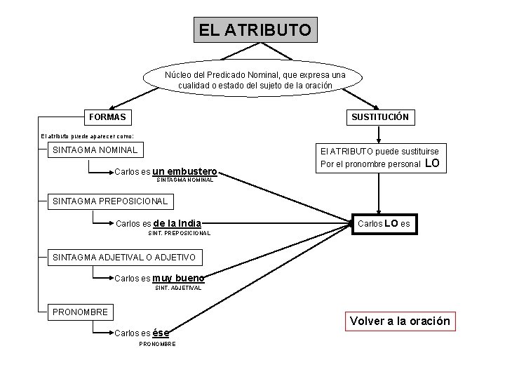 EL ATRIBUTO Núcleo del Predicado Nominal, que expresa una cualidad o estado del sujeto