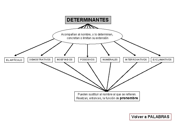 DETERMINANTES Acompañan al nombre, y lo determinan, concretan o limitan su extensión EL ARTÍCULO