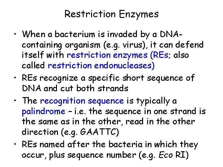 Restriction Enzymes • When a bacterium is invaded by a DNAcontaining organism (e. g.