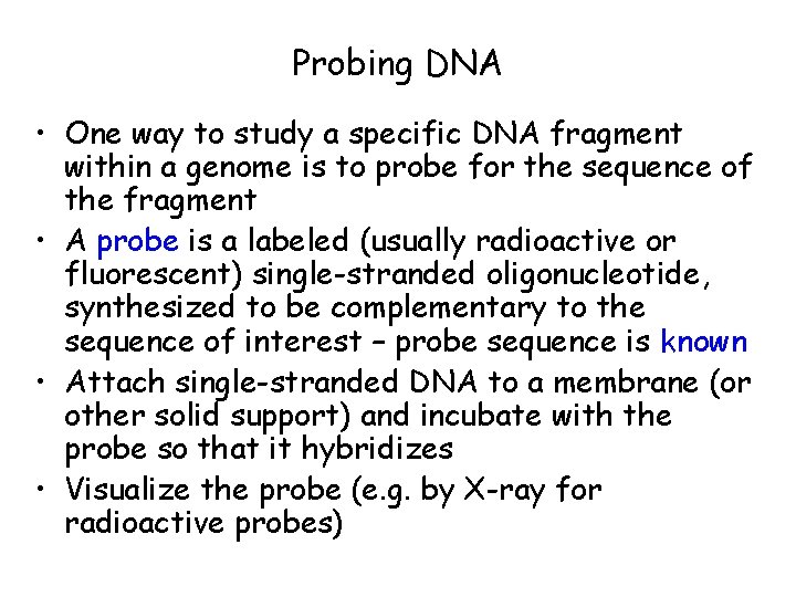 Probing DNA • One way to study a specific DNA fragment within a genome