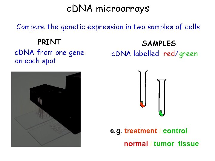 c. DNA microarrays Compare the genetic expression in two samples of cells PRINT c.