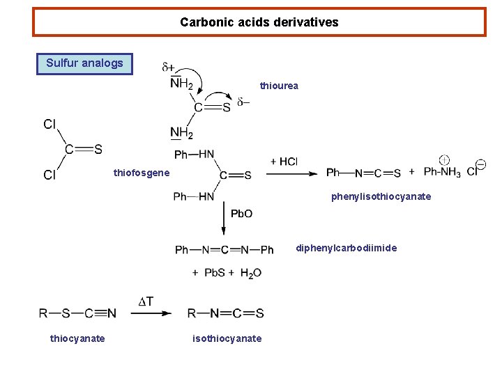 Carbonic acids derivatives Sulfur analogs thiourea thiofosgene phenylisothiocyanate diphenylcarbodiimide thiocyanate isothiocyanate 