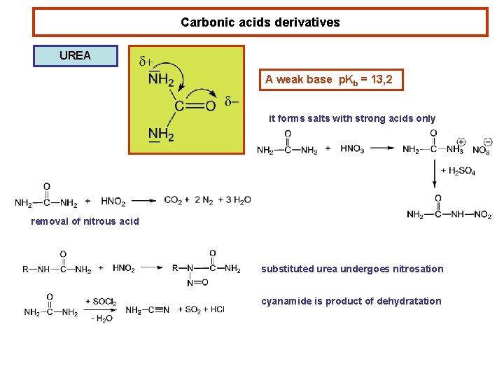 Carbonic acids derivatives UREA A weak base p. Kb = 13, 2 it forms